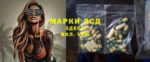 дмт Гусев