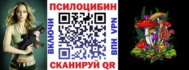 Галлюциногенные грибы прущие грибы  Купить  Новосиль 