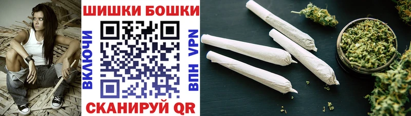 Купить  Новосиль  Шишки марихуана Ganja 